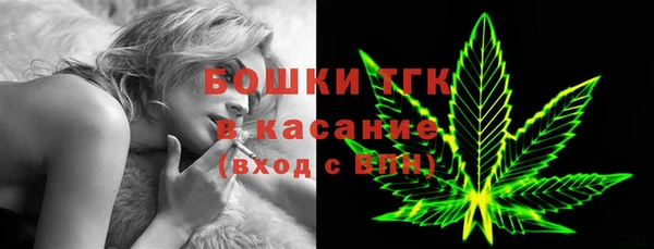 гидра Гусев