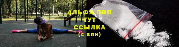 гидра Гусев