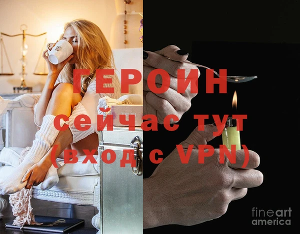 гидра Гусев