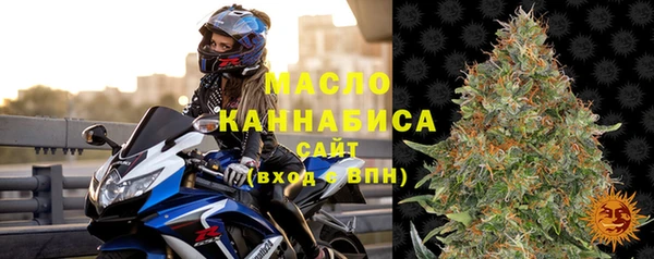 гидра Гусев